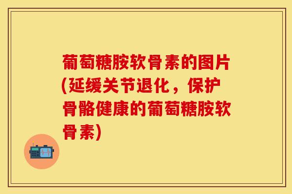 葡萄糖胺软骨素的图片(延缓关节退化，保护骨骼健康的葡萄糖胺软骨素)