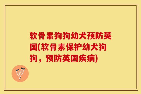 软骨素狗狗幼犬预防英国(软骨素保护幼犬狗狗，预防英国疾病)