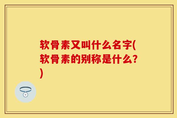 软骨素又叫什么名字(软骨素的别称是什么？)