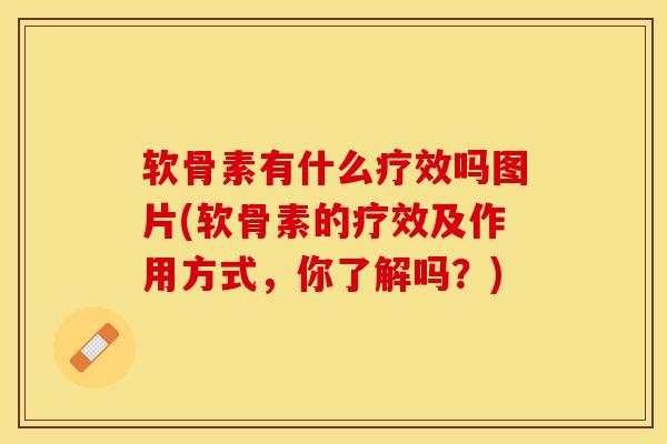 软骨素有什么疗效吗图片(软骨素的疗效及作用方式,你了解吗?) 软骨素有什么疗效吗图片(软骨素的疗效及作用方式,你了解吗?)