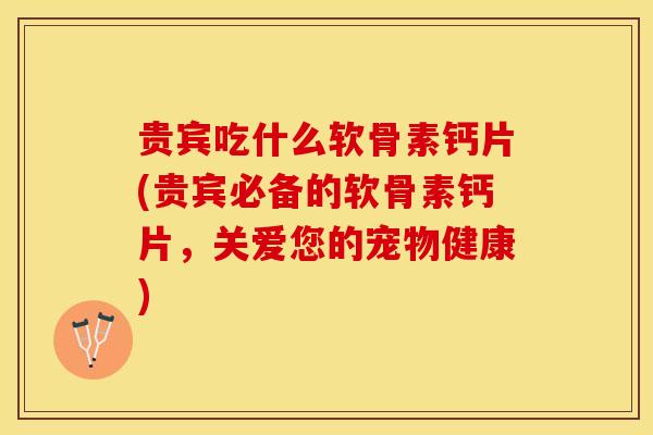 贵宾吃什么软骨素钙片(贵宾必备的软骨素钙片，关爱您的宠物健康)