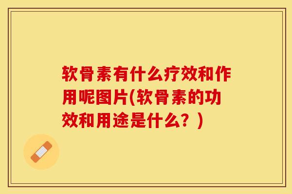 软骨素有什么疗效和作用呢图片(软骨素的功效和用途是什么？)