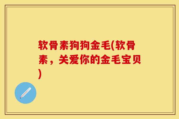 软骨素狗狗金毛(软骨素，关爱你的金毛宝贝)