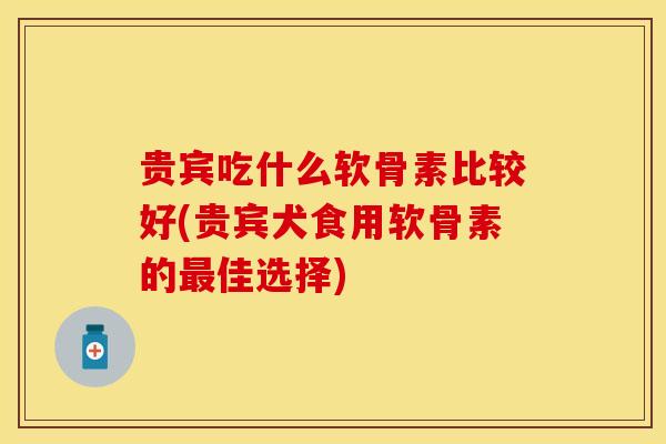 贵宾吃什么软骨素比较好(贵宾犬食用软骨素的最佳选择)