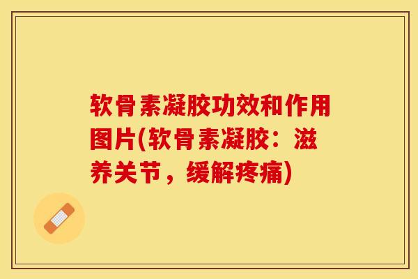 软骨素凝胶功效和作用图片(软骨素凝胶：滋养关节，缓解疼痛)
