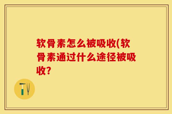 软骨素怎么被吸收(软骨素通过什么途径被吸收？