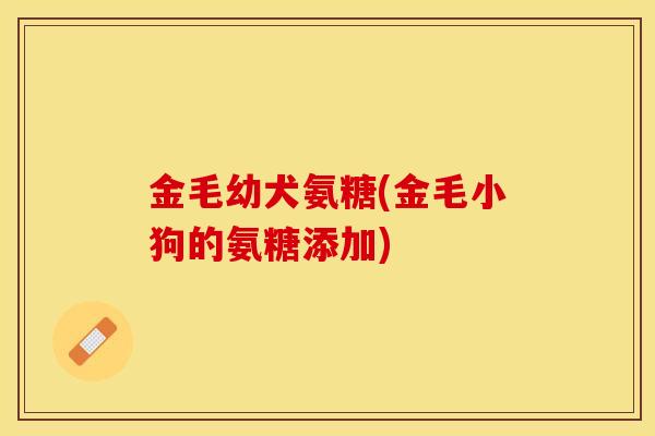 金毛幼犬氨糖(金毛小狗的氨糖添加)