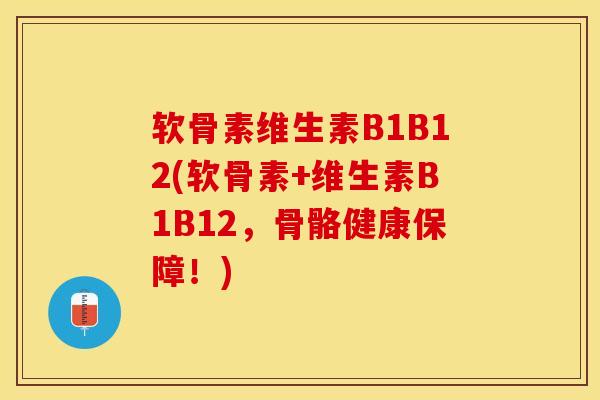 软骨素维生素B1B12(软骨素+维生素B1B12，骨骼健康保障！)