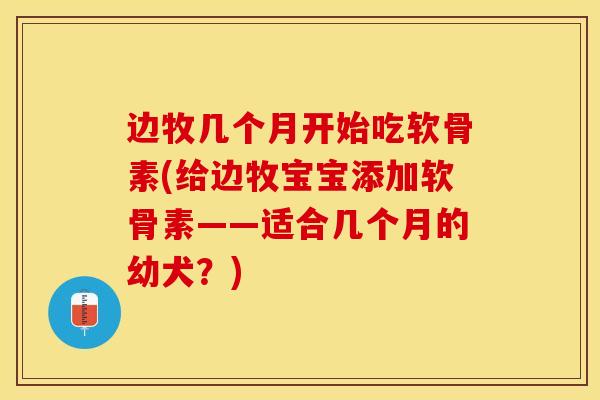 边牧几个月开始吃软骨素(给边牧宝宝添加软骨素——适合几个月的幼犬？)