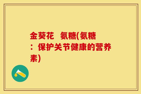 金葵花  氨糖(氨糖：保护关节健康的营养素)
