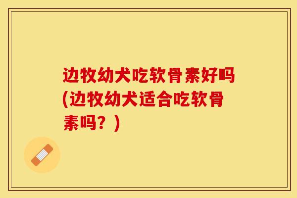 边牧幼犬吃软骨素好吗(边牧幼犬适合吃软骨素吗？)