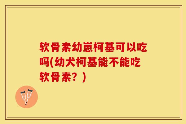 软骨素幼崽柯基可以吃吗(幼犬柯基能不能吃软骨素？)