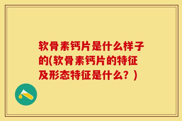 软骨素钙片是什么样子的(软骨素钙片的特征及形态特征是什么？)