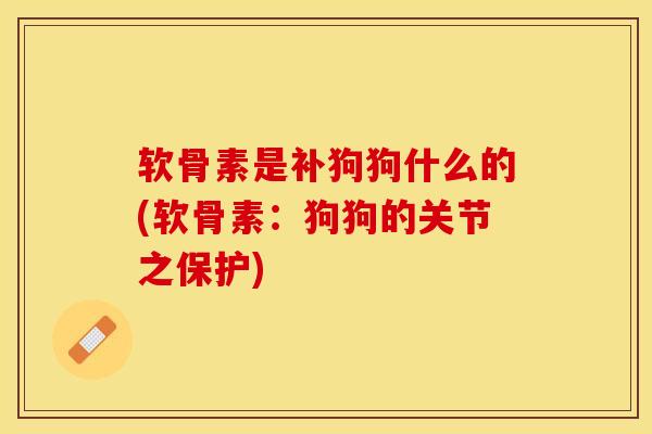 软骨素是补狗狗什么的(软骨素：狗狗的关节之保护)