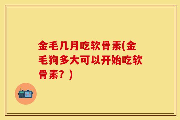 金毛几月吃软骨素(金毛狗多大可以开始吃软骨素？)