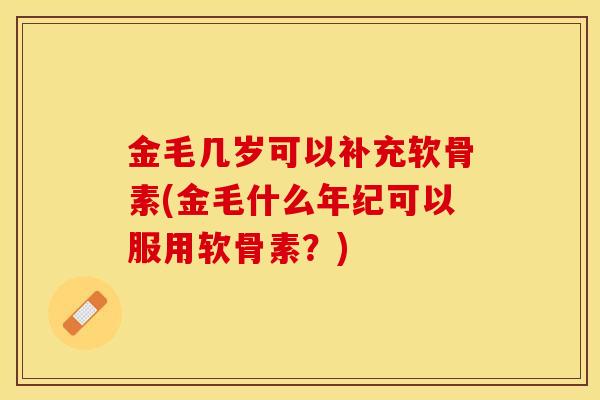 金毛几岁可以补充软骨素(金毛什么年纪可以服用软骨素？)