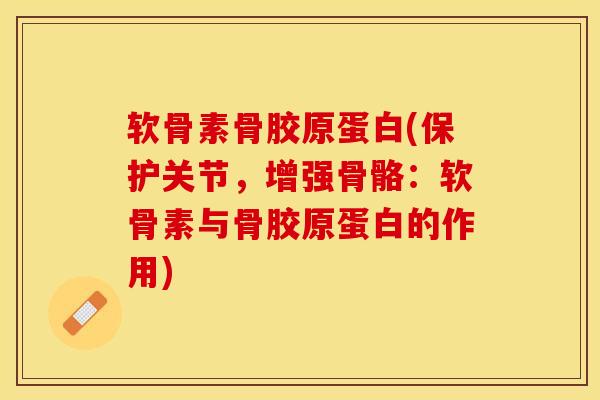 软骨素骨胶原蛋白(保护关节，增强骨骼：软骨素与骨胶原蛋白的作用)
