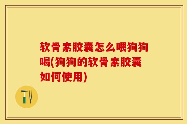 软骨素胶囊怎么喂狗狗喝(狗狗的软骨素胶囊如何使用)