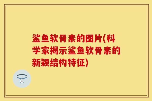 鲨鱼软骨素的图片(科学家揭示鲨鱼软骨素的新颖结构特征)