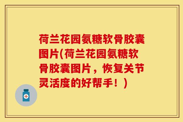 荷兰花园氨糖软骨胶囊图片(荷兰花园氨糖软骨胶囊图片，恢复关节灵活度的好帮手！)