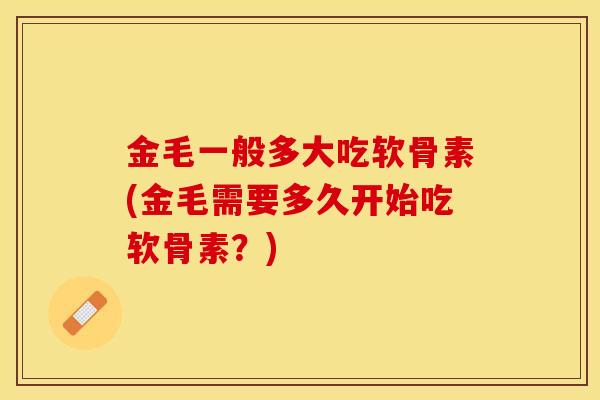 金毛一般多大吃软骨素(金毛需要多久开始吃软骨素?) 金毛一般多大吃软骨素(金毛需要多久开始吃软骨素?)