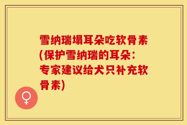 雪纳瑞塌耳朵吃软骨素(保护雪纳瑞的耳朵:专家建议给犬只补充软骨素) 雪纳瑞塌耳朵吃软骨素(保护雪纳瑞的耳朵:专家建议给犬只补充软骨素)