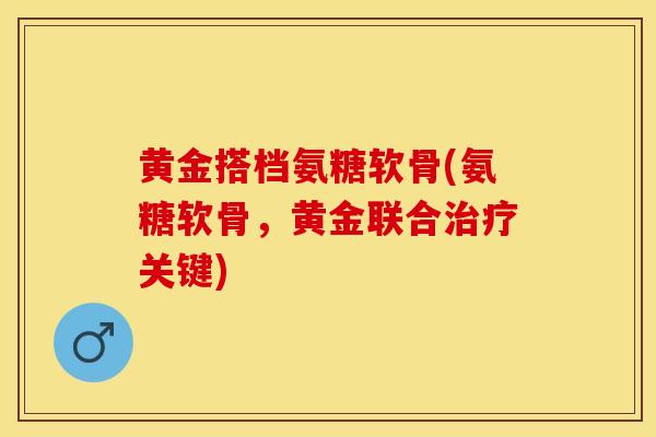 黄金搭档氨糖软骨(氨糖软骨，黄金联合治疗关键)