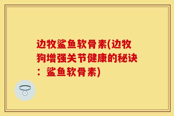 边牧鲨鱼软骨素(边牧狗增强关节健康的秘诀：鲨鱼软骨素)