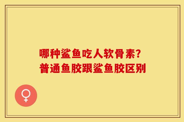 哪种鲨鱼吃人软骨素?普通鱼胶跟鲨鱼胶区别 哪种鲨鱼吃人软骨素?普通鱼胶跟鲨鱼胶区别