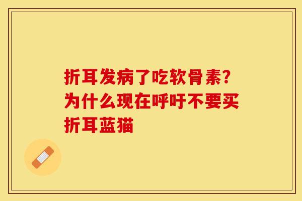 折耳发病了吃软骨素？为什么现在呼吁不要买折耳蓝猫