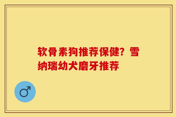 软骨素狗推荐保健？雪纳瑞幼犬磨牙推荐