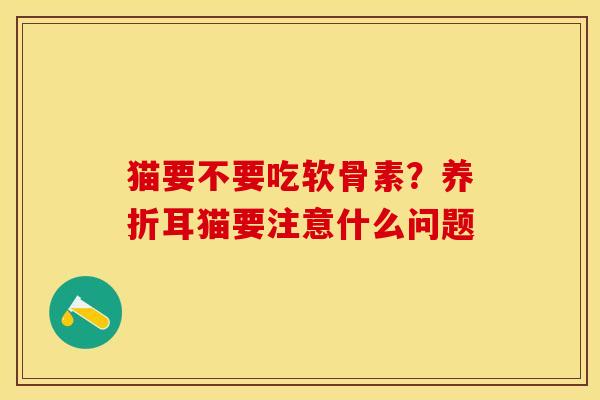 猫要不要吃软骨素？养折耳猫要注意什么问题