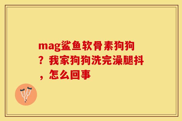 mag鲨鱼软骨素狗狗？我家狗狗洗完澡腿抖，怎么回事