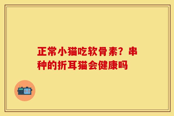 正常小猫吃软骨素？串种的折耳猫会健康吗
