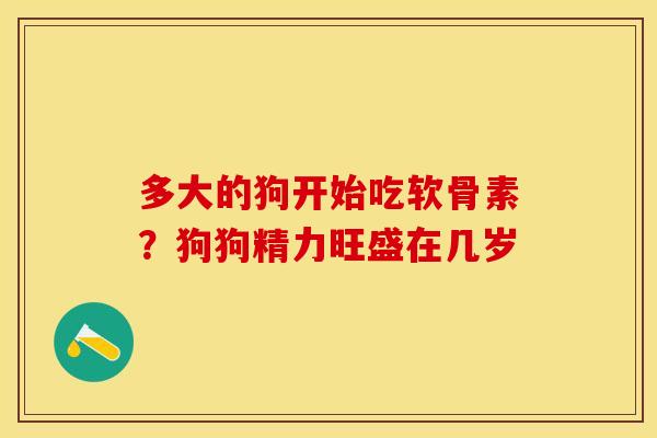 多大的狗开始吃软骨素?狗狗精力旺盛在几岁 多大的狗开始吃软骨素?狗狗精力旺盛在几岁