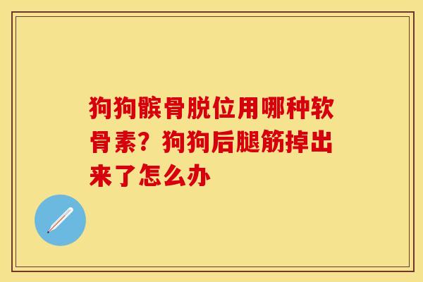狗狗髌骨脱位用哪种软骨素?狗狗后腿筋掉出来了怎么办 狗狗髌骨脱位用哪种软骨素?狗狗后腿筋掉出来了怎么办
