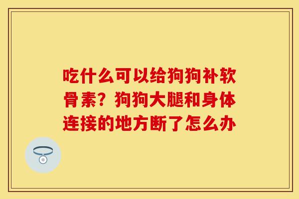 吃什么可以给狗狗补软骨素?狗狗大腿和身体连接的地方断了怎么办 吃什么可以给狗狗补软骨素?狗狗大腿和身体连接的地方断了怎么办