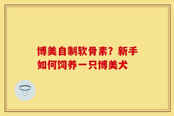 博美自制软骨素？新手如何饲养一只博美犬