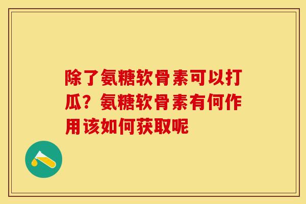 除了氨糖软骨素可以打瓜?氨糖软骨素有何作用该如何获取呢 除了氨糖软骨素可以打瓜?氨糖软骨素有何作用该如何获取呢
