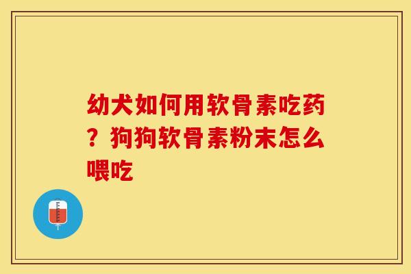 幼犬如何用软骨素吃药？狗狗软骨素粉末怎么喂吃