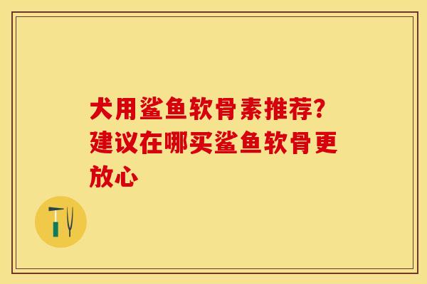 犬用鲨鱼软骨素推荐?建议在哪买鲨鱼软骨更放心 犬用鲨鱼软骨素推荐?建议在哪买鲨鱼软骨更放心