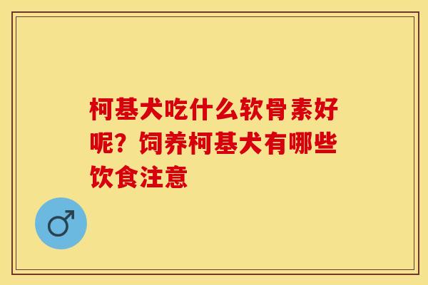 柯基犬吃什么软骨素好呢?饲养柯基犬有哪些饮食注意 柯基犬吃什么软骨素好呢?饲养柯基犬有哪些饮食注意
