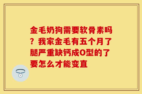 金毛奶狗需要软骨素吗？我家金毛有五个月了腿严重缺钙成O型的了要怎么才能变直
