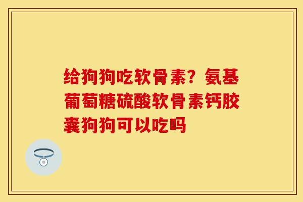 给狗狗吃软骨素?氨基葡萄糖硫酸软骨素钙胶囊狗狗可以吃吗 给狗狗吃软骨素?氨基葡萄糖硫酸软骨素钙胶囊狗狗可以吃吗