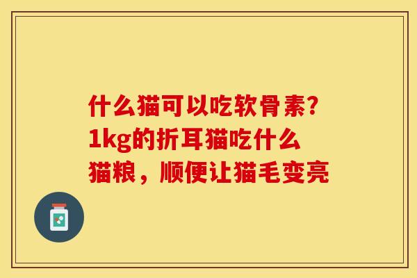 什么猫可以吃软骨素？1kg的折耳猫吃什么猫粮，顺便让猫毛变亮