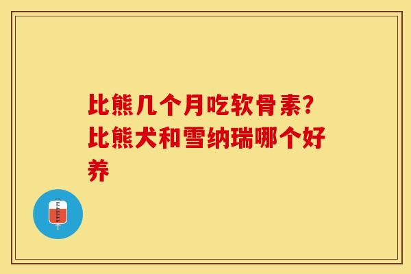 比熊几个月吃软骨素？比熊犬和雪纳瑞哪个好养