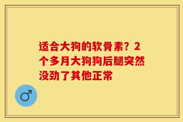 适合大狗的软骨素？2个多月大狗狗后腿突然没劲了其他正常