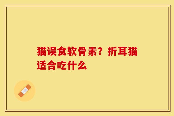 猫误食软骨素？折耳猫适合吃什么