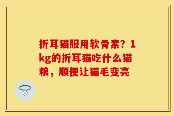 折耳猫服用软骨素？1kg的折耳猫吃什么猫粮，顺便让猫毛变亮