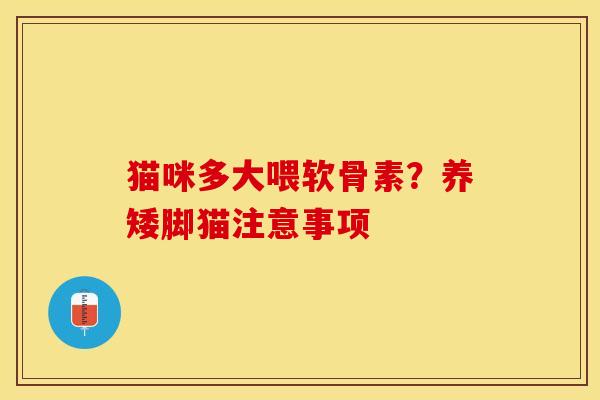 猫咪多大喂软骨素？养矮脚猫注意事项